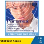 Paramex dan Hubungannya dengan Anemia Aplastik Fakta dan Penjelasan