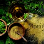 Kapan Sebaiknya Minum Air Rebusan Daun Kelor