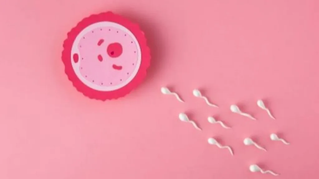 Cara Menjaga Kesehatan dan Kualitas Sperma